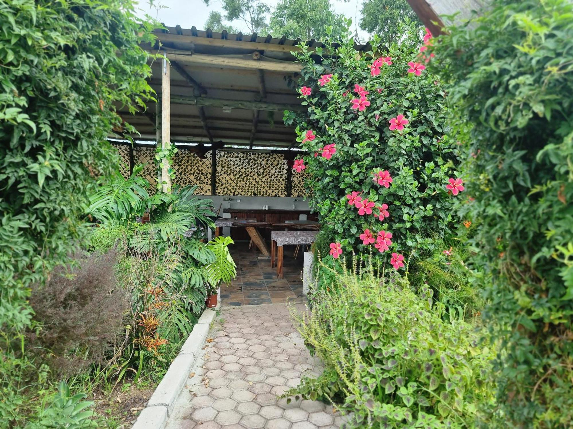 Goggas Nest Bnb & Restaurant Matsapha ภายนอก รูปภาพ